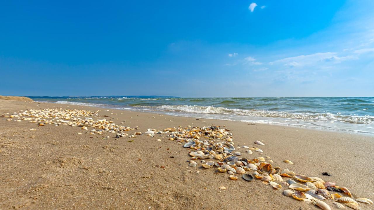 Strandurlaub Ruegen "Luett Matten" Lejlighed Binz Eksteriør billede